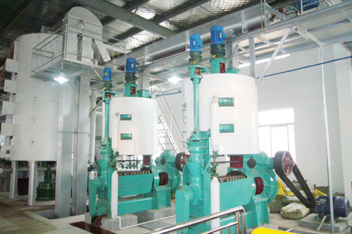 Automatic Screw Oil Press Expeller For Rapeseed / Cotton Seed 18.5KW